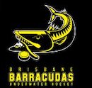 Brisbane Barracudas - The Good Human Factory